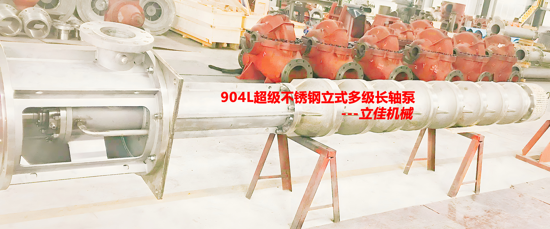 立式高揚(yáng)程不銹鋼長(zhǎng)軸泵